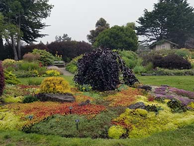 formal garden